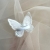 IMG_9823.jpeg